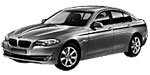 BMW F10 P073C Fault Code
